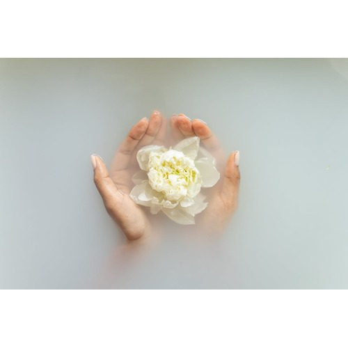 Bath & Body Works in Singapore: How to Enjoy Fragrant Luxury for Less with Smart Discounts