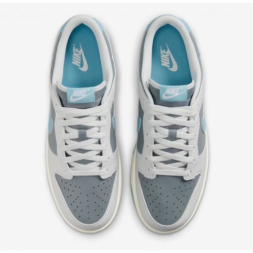 Nike Dunk Low Retro Men's Shoes