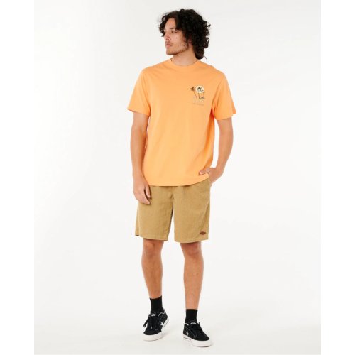 Rip Curl Men Aots - Cody Welsh Palms Tee 0PAMTE