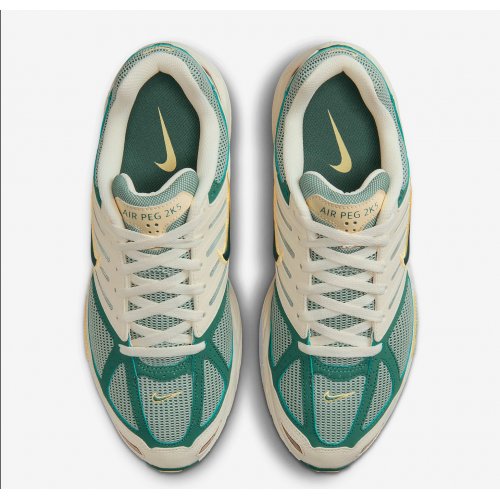 Nike Air Pegasus 2005