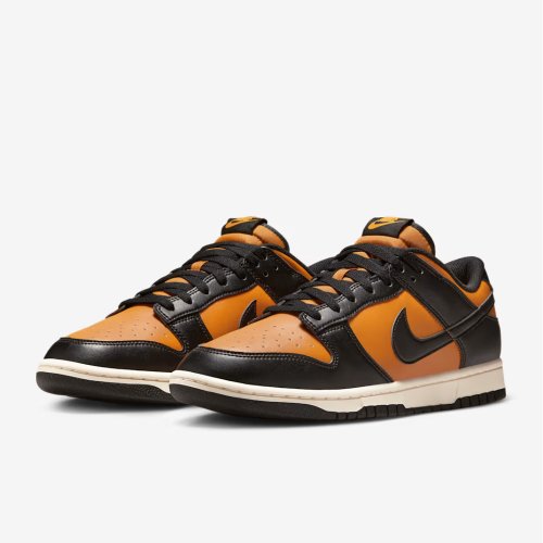 Nike Dunk Low Retro Men's Shoes