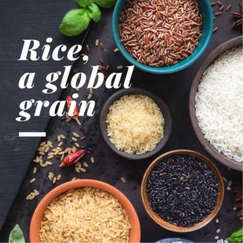 Kenyalang Brown ECO rice 500g