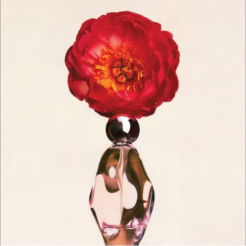  Cosmic by Kylie Jenner Eau de Parfum 100ml 