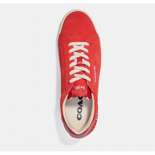 Clip Low Top Sneaker