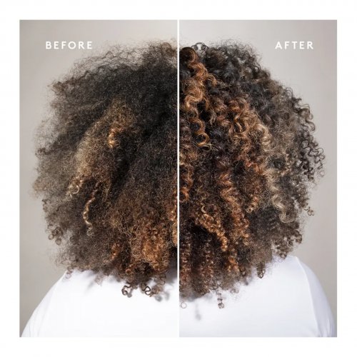 Virtue Labs Curl Discovery Kit