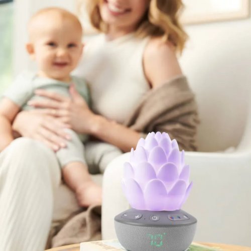 Skip Hop Cry-Activated Soother - Terra