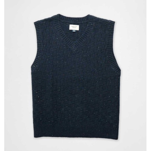 AE Sweater Vest