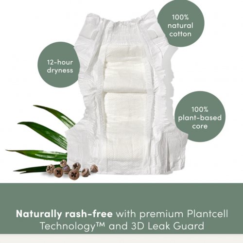 Matrix Ultra Seated Leg Curl Black (Showroom Unit) 