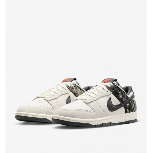 Nike Dunk Low Retro SE Men's Shoes