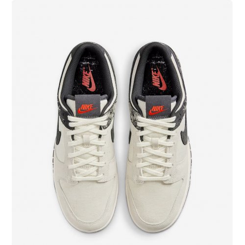 Nike Dunk Low Retro SE Men's Shoes