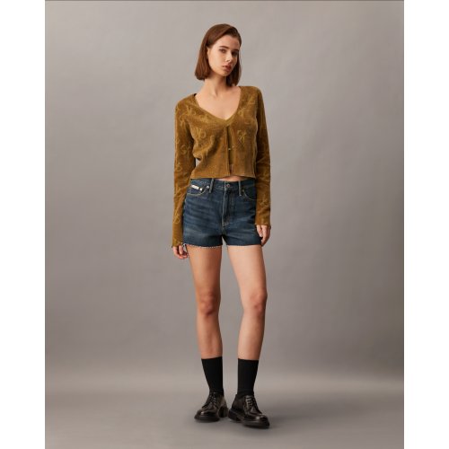  High Rise Denim Shorts