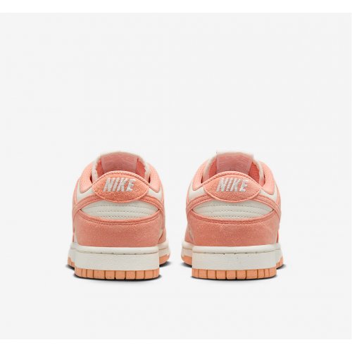 Nike Dunk Low Women's Shoes