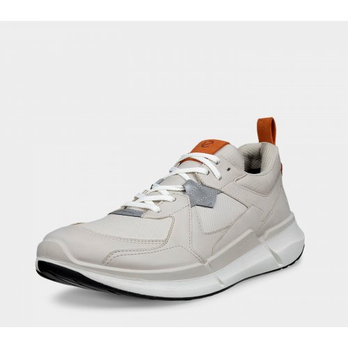 ECCO biom 2.2 low gtx men's sneaker