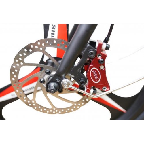 EBike Eco Drive Classic V3