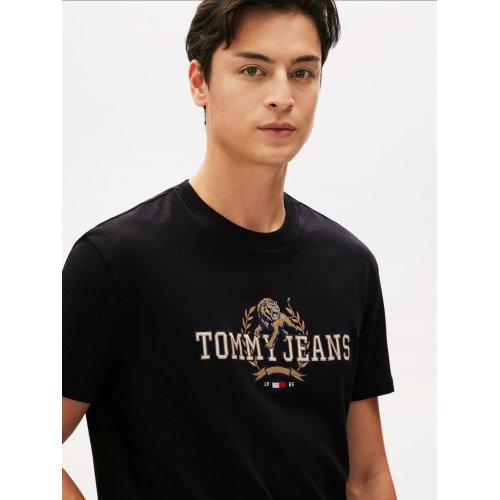  Regular Varsity Novelty T-Shirt