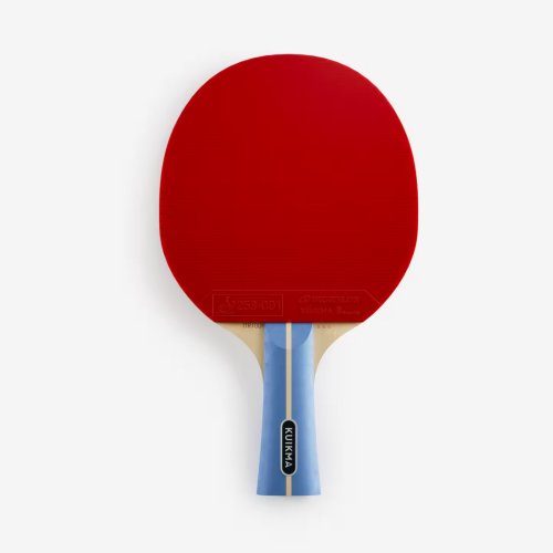 Table Tennis Set TTR 100 Versatile ITTF School (2 Bats 4 Balls)