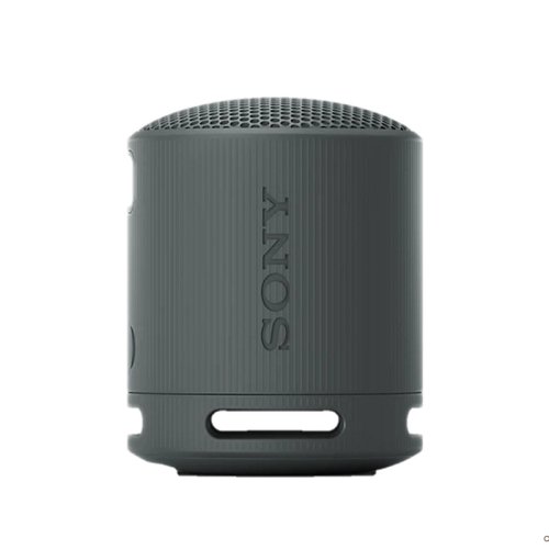 Sony XB100 Portable Wireless Speaker