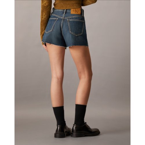  High Rise Denim Shorts