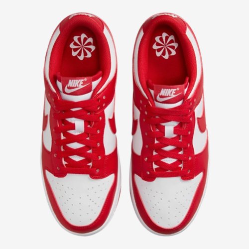 Nike Dunk Low Women Shoes