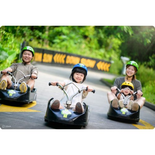 Skyline Luge Singapore Ticket 
