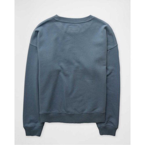 AE Velvet Graphic Crew Neck Sweatshirt