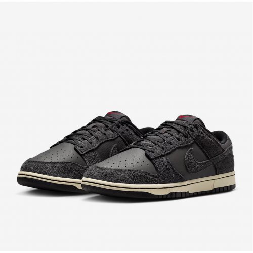 Nike Dunk Low Retro Premium Men's Shoes