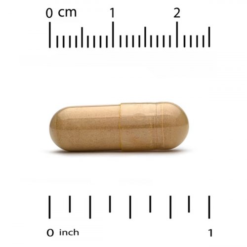  California Gold Nutrition, Organic Lion's Mane, 90 PlantCaps 