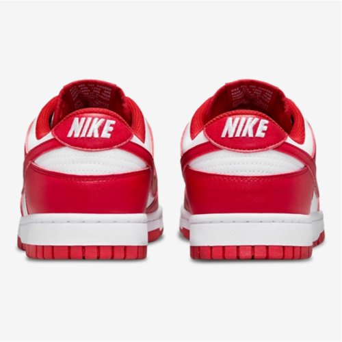 Nike Dunk Low Women Shoes