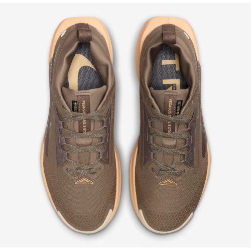 Nike Pegasus Trail 5 GORE-TEX