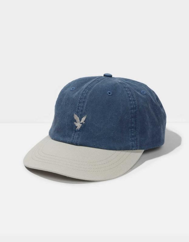AE Baseball Hat - Blue, One Size 