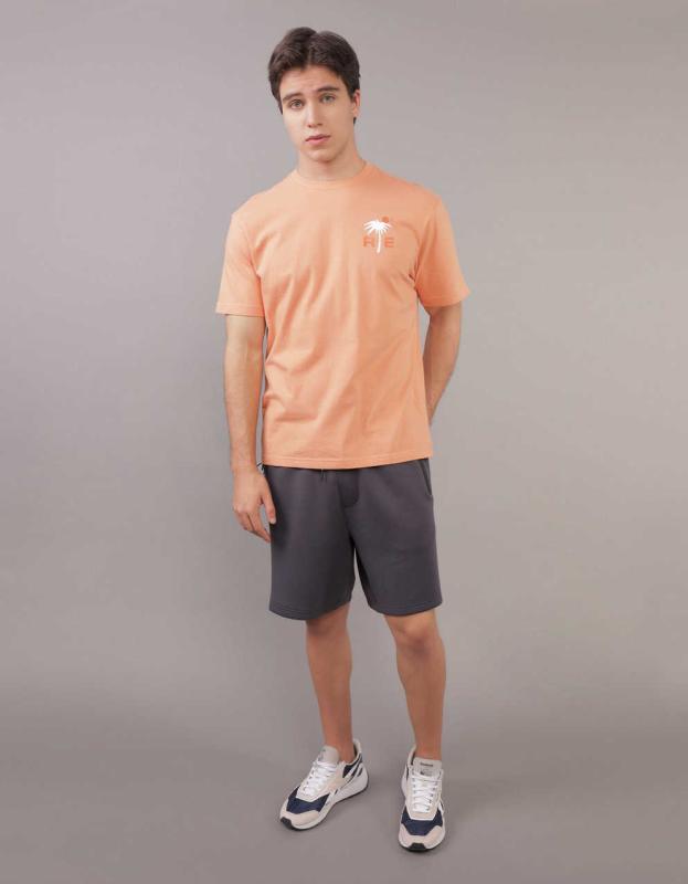 AE Logo Graphic T-Shirt - Orange, XS 