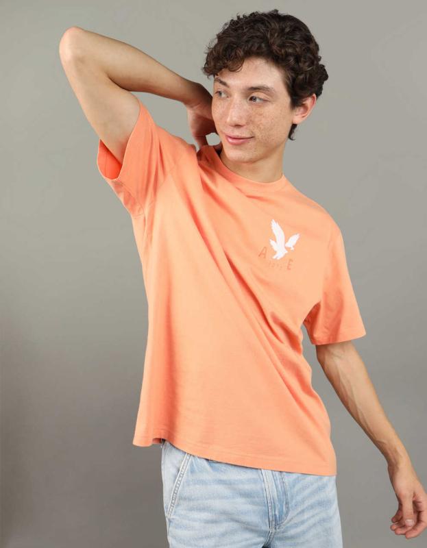 AE Logo Graphic T-Shirt - Orange Flare, XL 