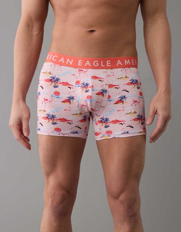 AEO Flamingos 4.5