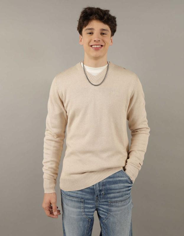 AE V-Neck Sweater - Beige, L 