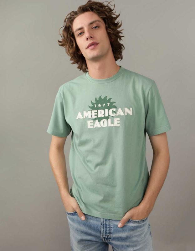 AE Logo Graphic T-Shirt - Dried Sage, XS 