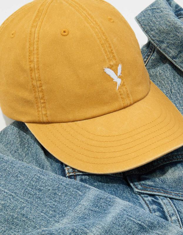 AE Baseball Hat - Retro Jade, One Size 