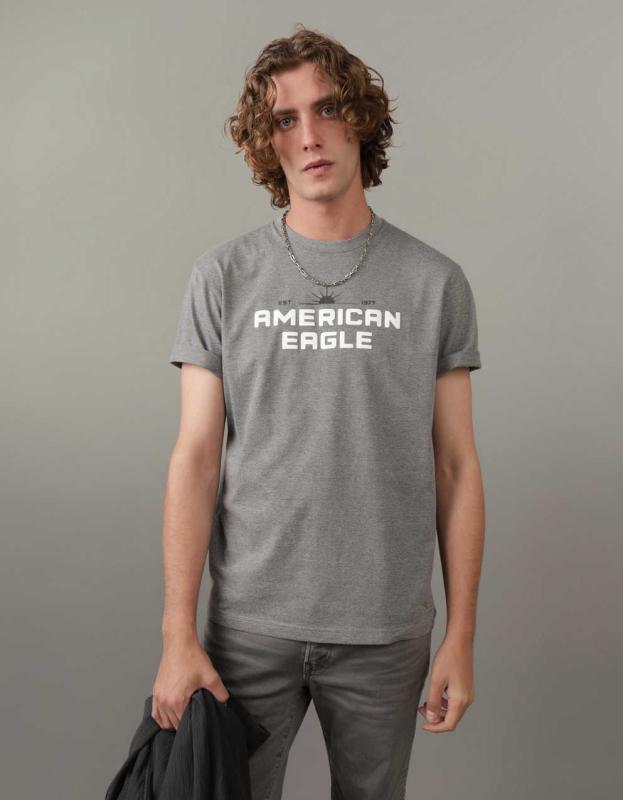 AE Logo Graphic T-Shirt - Gray, M 
