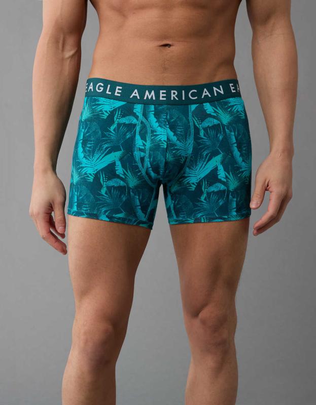 AEO Men's Palm Trees 4.5