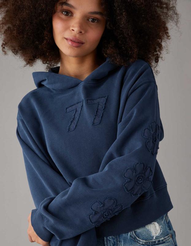 AE Classic Graphic Hoodie - Blue, XS 