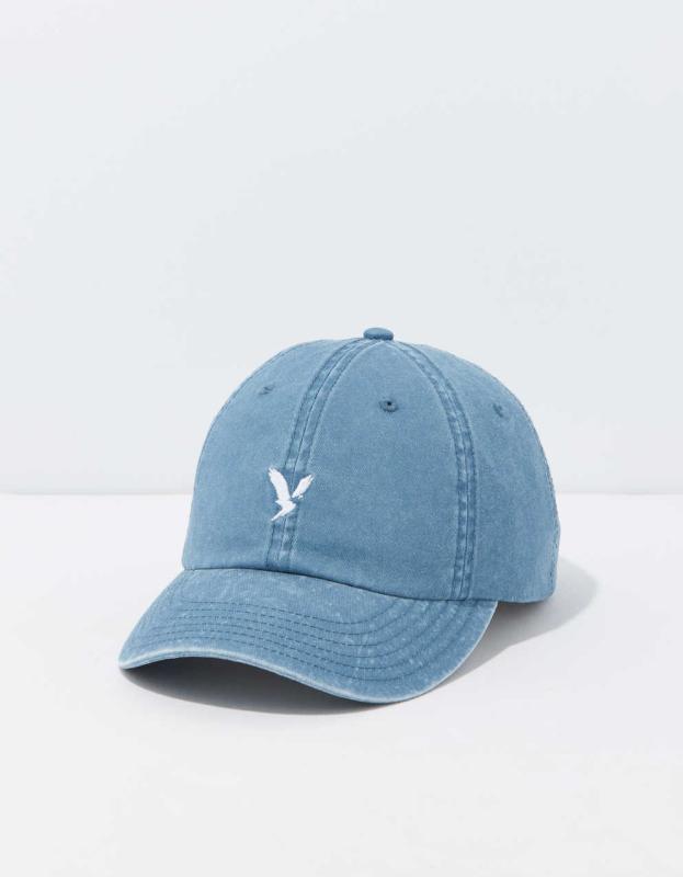 AE Baseball Hat - Sky Blue, One Size 