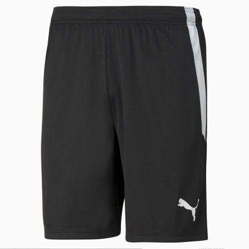 teamLIGA Football Shorts Men