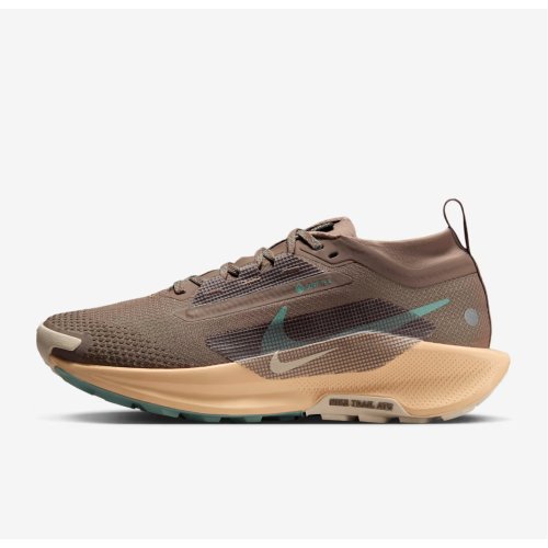 Nike Pegasus Trail 5 GORE-TEX