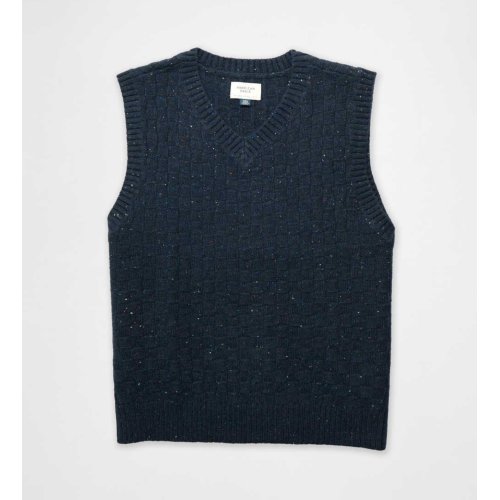 AE Sweater Vest