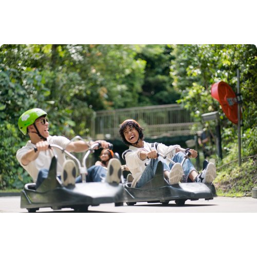 Skyline Luge Singapore Ticket 