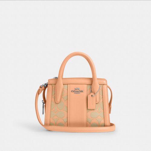Andrea Mini Carryall In Signature Jacquard