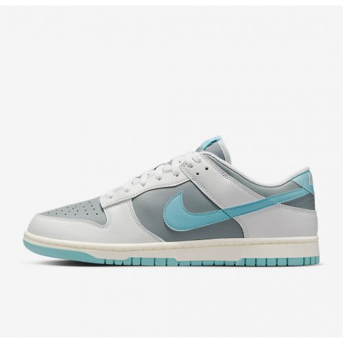 Nike Dunk Low Retro Men's Shoes