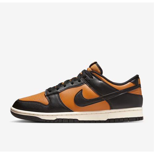 Nike Dunk Low Retro Men's Shoes